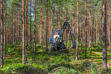 Harvester working with thinning in a woodland