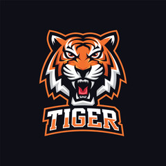 Lion logo colorfull Roiyalty design icon