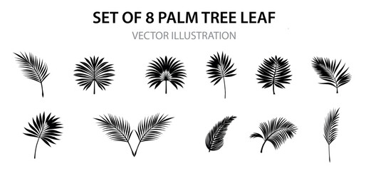 Tropical leaves silhouette clipart set. Leaf drawing icon and sign clip art collection like palm, fern, monstera and banana monochrome elements vector illustration.
