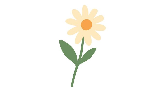 Minimalistic Illustration of a Daisy Flower with Green Stem and Leaves