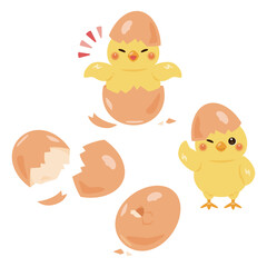 羽化したヒヨコのイラストセット