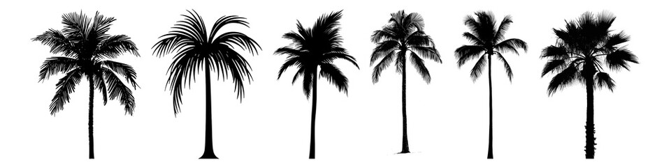 PNG Silhouetted tropical palm trees collection, element set on transparent background