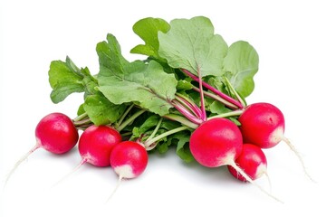 Fresh red radishes with green leaves healthy organic vegetables food diet farm root crisp spicy plant