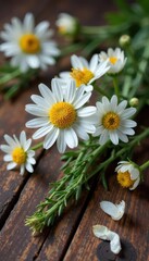Obraz premium Dried chamomile sprigs on rustic wood, surrounded by blooming flowers , nature, still life