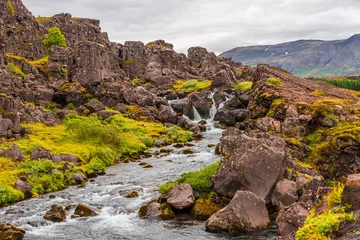 Thingvellir National Park, Iceland, Famous geological and historical site with a river stream, summer, South West Iceland, scenic dramatic view © neurobite