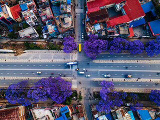 The aerial view shows the Ring Road highway lined with blooming Jacaranda trees in Lalitpur, Nepal