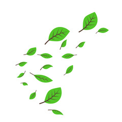 Illustration of Flying Green Leaves