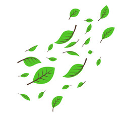 Illustration of Flying Green Leaves
