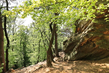Blick auf die Dörenther Klippen bei Ibbenbüren in Nordrhein-Westfalen
