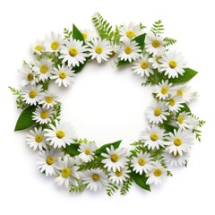 Obraz premium A frame made entirely of fresh spring daisies with green leaves surrounding the flowers, giving a bright