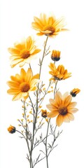 Fototapeta premium Golden Yellow Flower Bouquet on White Background