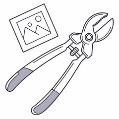 image cropping tool white background 
