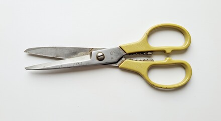 Fototapeta premium Yellow handed kitchen shears