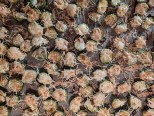 baked Brussels sprouts