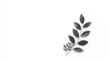 A black and white image of a plant with a single stem and leaves.