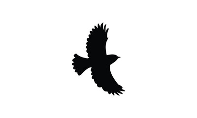 African stonechat bird Silhouette Design  And Vector Illustration. 