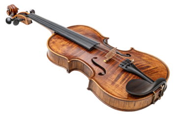 violin isolated on white background