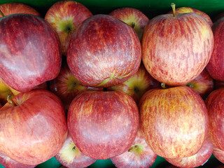 Fresh picked red honey crispy apples for background 