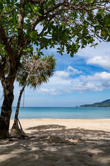 Beautiful beach background, Natural landscape with coconut palm trees on the beach at Phuket Thailand,Beach and sea in sunny day, Beach sea space area nature background