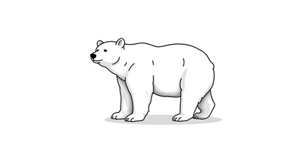 polar bear vector illustration