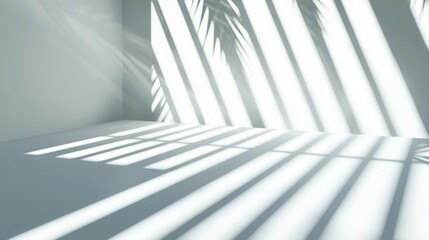 Fototapeta premium Bright, Minimalist Interior with Light and Shadow Play from Window