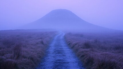 Misty path leading to a distant hill