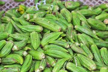 The local market of Nouadhibou, Mauritania, West Africa