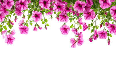 Pink flowers cascading downwards
