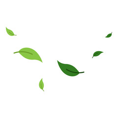 Flying Leaves Illustration