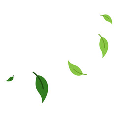 Flying Leaves Illustration