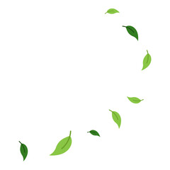 Flying Leaves Illustration