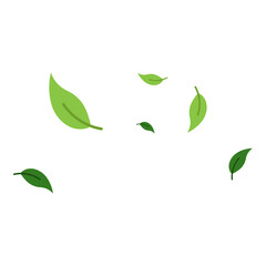 Flying Leaves Illustration