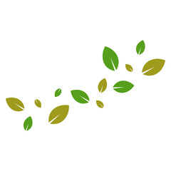 Flying Leaves Illustration