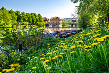 Flowers and traditional punt boats at the waterfront of the Neckar River in Tübingen in Spring