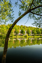 Fototapete bei efototapeten.de bestellen   