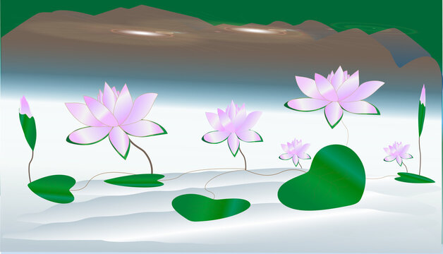 sapla a natural flower design