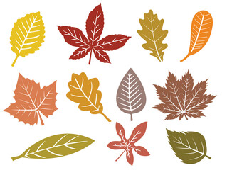 Fall Leaves, Fall leaf bundle, Silhouette, Halloween 