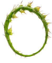 Circular plant stem with thorns