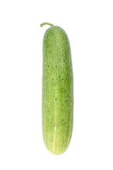 Fresh green cucumber, a healthy and raw vegetable, isolated on white, represents natural freshness