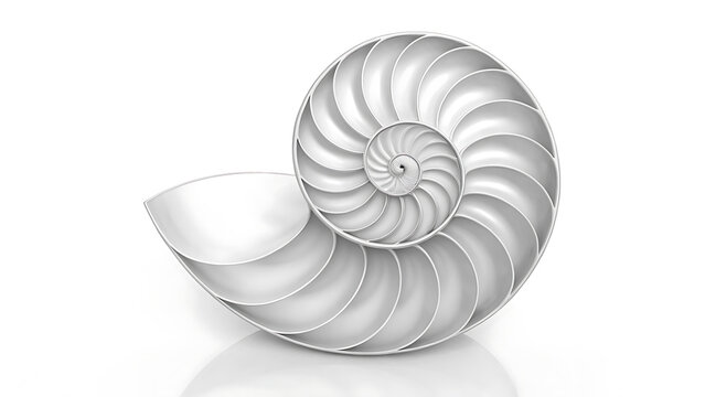 Stunning 3D Render of a Nautilus Shell  Perfect Spiral Geometry and Natural Elegance