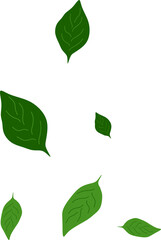 Leaves Flying on Wind
