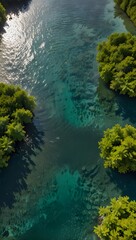 Obraz premium An aerial perspective of clear turquoise water meeting a rocky shore with dense green trees.