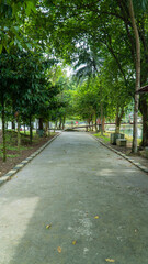 Obraz premium A peaceful walkway shaded by dense green trees, leading through a quiet park area near a pond