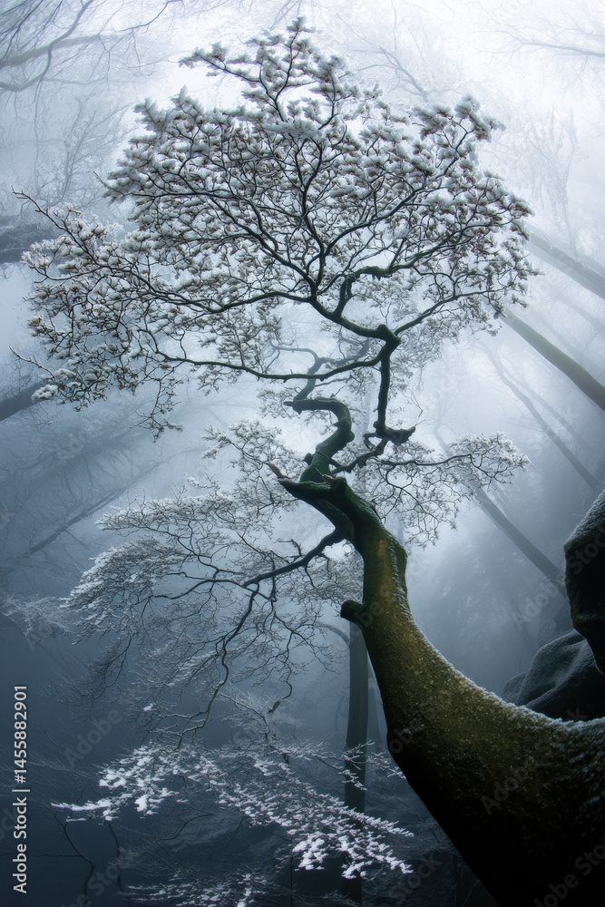 Fototapete A snowcovered tree gracefully bends over a misty forest pool its branches reaching towards the ethereal light filtering through the fog creating a serene winter scene. : Generative AI