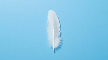 Serene White Feather on a Light Blue Background
