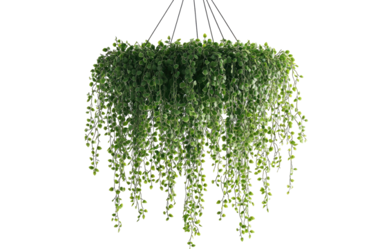 Lush green cascading plant chandelier