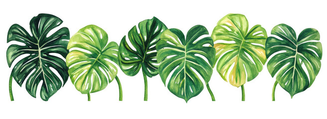 Tropical Monstera Leaf Arrangement