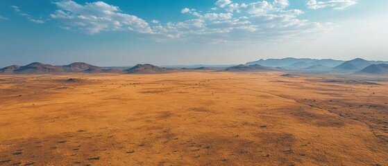 Desert savanna stretches across landscape, meeting hazy mountain range under clear blue sky.