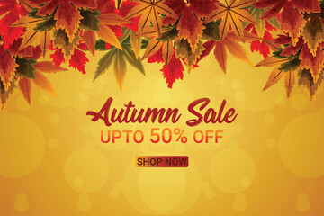 Hand draw autumn background