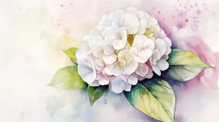 Obraz premium Elegant Watercolor Hydrangea Vector Painting
